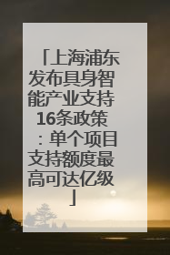 上海浦东发布具身智能产业支持16条政策：单个项目支持额度最高可达亿级