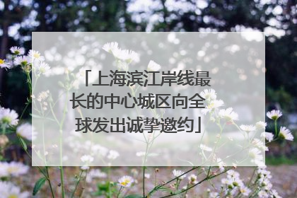 上海滨江岸线最长的中心城区向全球发出诚挚邀约