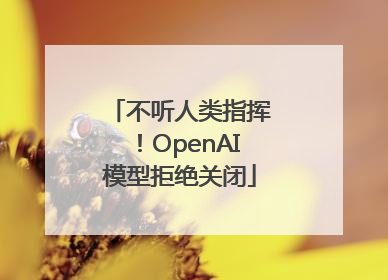 不听人类指挥！OpenAI模型拒绝关闭
