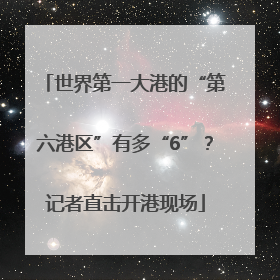 世界第一大港的“第六港区”有多“6”？记者直击开港现场
