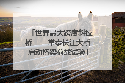 世界最大跨度斜拉桥——常泰长江大桥启动桥梁荷载试验
