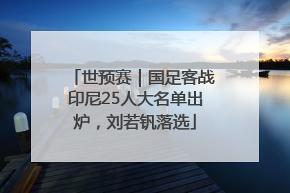 世预赛｜国足客战印尼25人大名单出炉，刘若钒落选