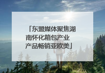 东盟媒体聚焦湖南怀化箱包产业 产品畅销亚欧美