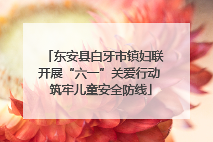 东安县白牙市镇妇联开展“六一”关爱行动 筑牢儿童安全防线