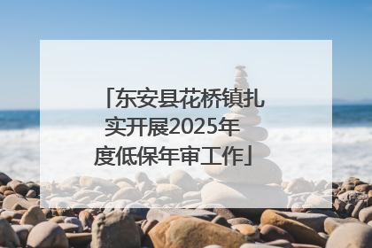 东安县花桥镇扎实开展2025年度低保年审工作