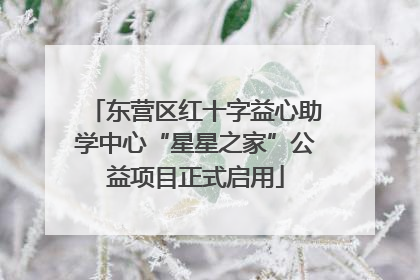 东营区红十字益心助学中心“星星之家”公益项目正式启用
