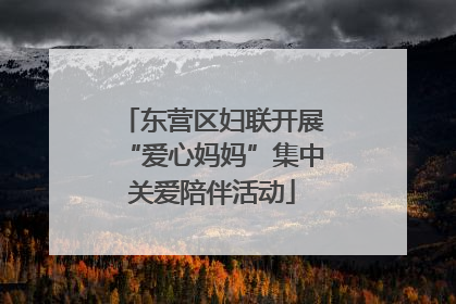 东营区妇联开展“爱心妈妈”集中关爱陪伴活动