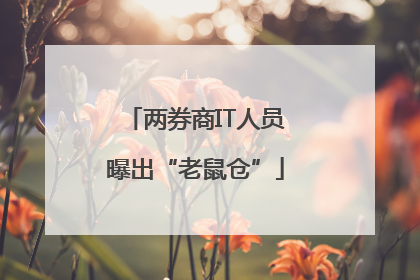 两券商IT人员曝出“老鼠仓”