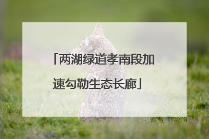 两湖绿道孝南段加速勾勒生态长廊