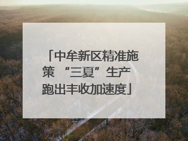 中牟新区精准施策 “三夏”生产跑出丰收加速度