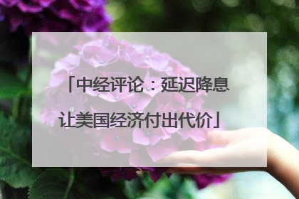 中经评论：延迟降息让美国经济付出代价
