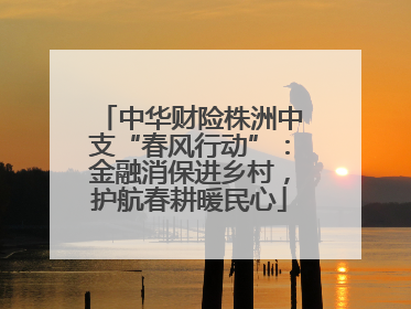 中华财险株洲中支“春风行动”：金融消保进乡村，护航春耕暖民心