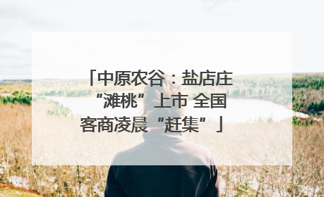 中原农谷：盐店庄“滩桃”上市 全国客商凌晨“赶集”