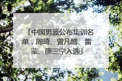 中国男篮公布集训名单，周琦、曾凡博、雷蒙、廖三宁入选