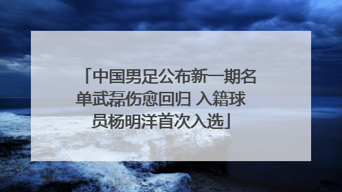 中国男足公布新一期名单武磊伤愈回归 入籍球员杨明洋首次入选