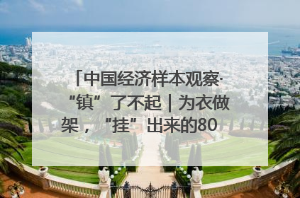 中国经济样本观察·“镇”了不起｜为衣做架，“挂”出来的80亿元“衣架产业”
