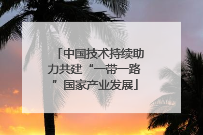 中国技术持续助力共建“一带一路”国家产业发展