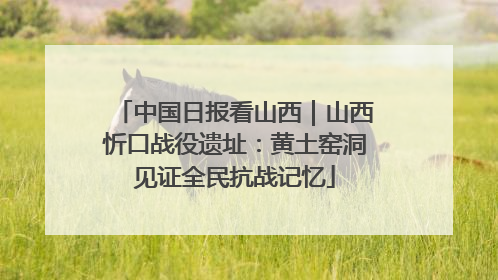 中国日报看山西｜山西忻口战役遗址：黄土窑洞见证全民抗战记忆