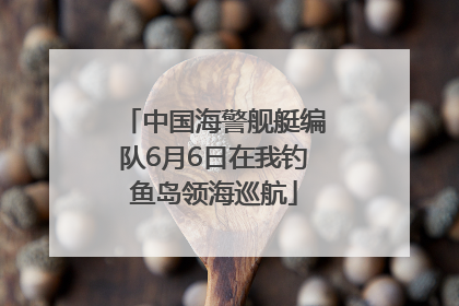 中国海警舰艇编队6月6日在我钓鱼岛领海巡航