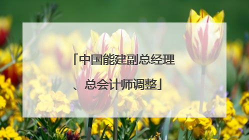 中国能建副总经理、总会计师调整