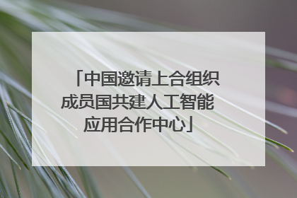 中国邀请上合组织成员国共建人工智能应用合作中心