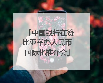 中国银行在赞比亚举办人民币国际化推介会
