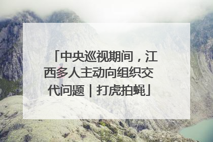 中央巡视期间，江西多人主动向组织交代问题｜打虎拍蝇