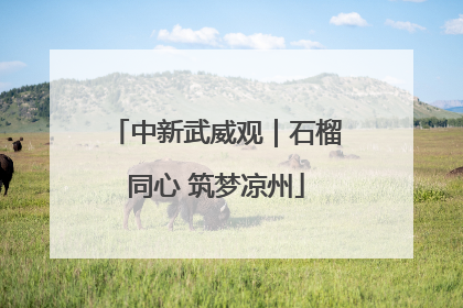 中新武威观｜石榴同心 筑梦凉州