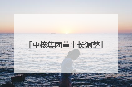 中核集团董事长调整