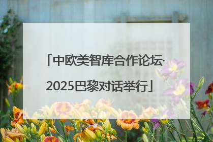 中欧美智库合作论坛·2025巴黎对话举行