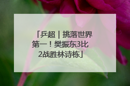乒超｜挑落世界第一！樊振东3比2战胜林诗栋