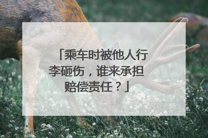 乘车时被他人行李砸伤，谁来承担赔偿责任？