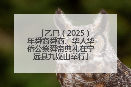 乙巳（2025）年舜裔舜商、华人华侨公祭舜帝典礼在宁远县九嶷山举行