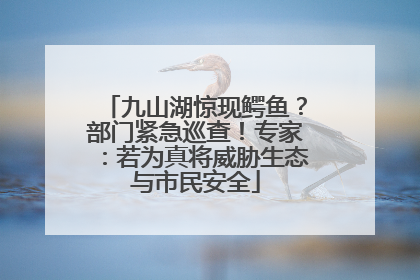 九山湖惊现鳄鱼？部门紧急巡查！专家：若为真将威胁生态与市民安全