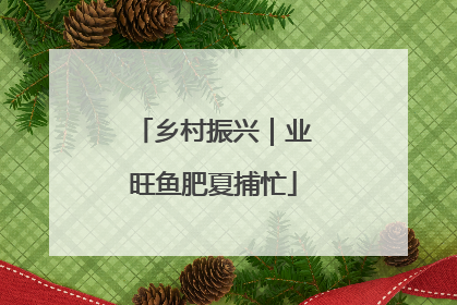 乡村振兴｜业旺鱼肥夏捕忙