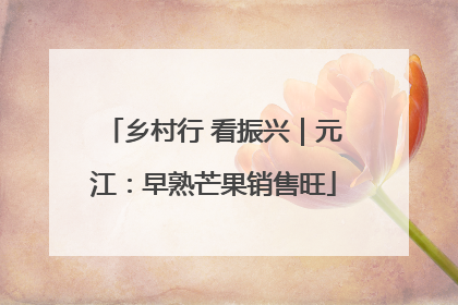 乡村行 看振兴｜元江：早熟芒果销售旺