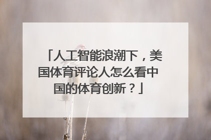 人工智能浪潮下，美国体育评论人怎么看中国的体育创新？