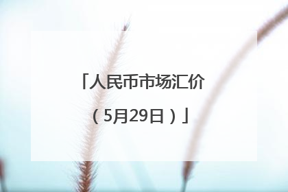 人民币市场汇价（5月29日）