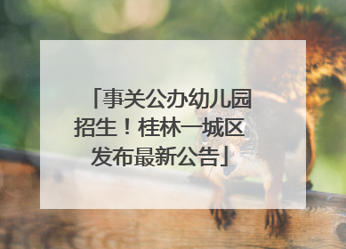 事关公办幼儿园招生！桂林一城区发布最新公告