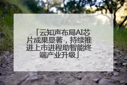 云知声布局AI芯片成果显著，持续推进上市进程助智能终端产业升级