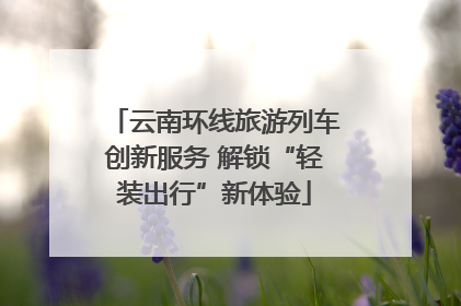 云南环线旅游列车创新服务 解锁“轻装出行”新体验