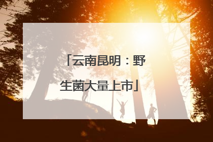 云南昆明：野生菌大量上市