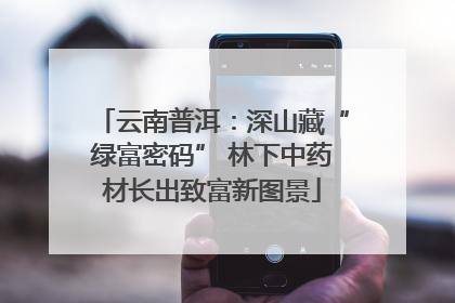 云南普洱：深山藏“绿富密码” 林下中药材长出致富新图景
