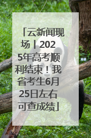 云新闻现场丨2025年高考顺利结束！我省考生6月25日左右可查成绩