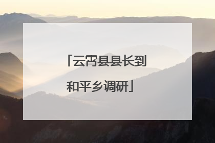 云霄县县长到和平乡调研