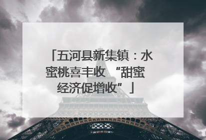五河县新集镇：水蜜桃喜丰收 “甜蜜经济促增收”