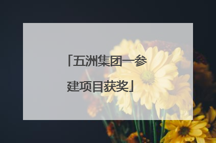 五洲集团一参建项目获奖