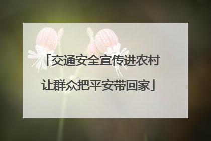 交通安全宣传进农村 让群众把平安带回家