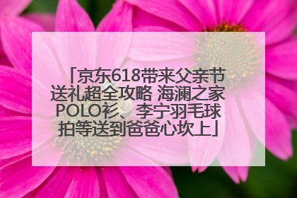 京东618带来父亲节送礼超全攻略 海澜之家POLO衫、李宁羽毛球拍等送到爸爸心坎上