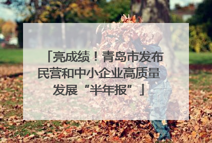 亮成绩！青岛市发布民营和中小企业高质量发展“半年报”